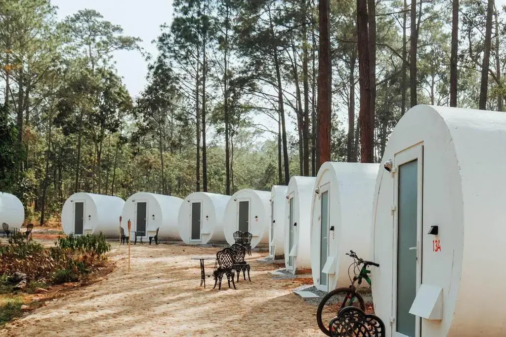 vKirirom Pine Resort - Chambres