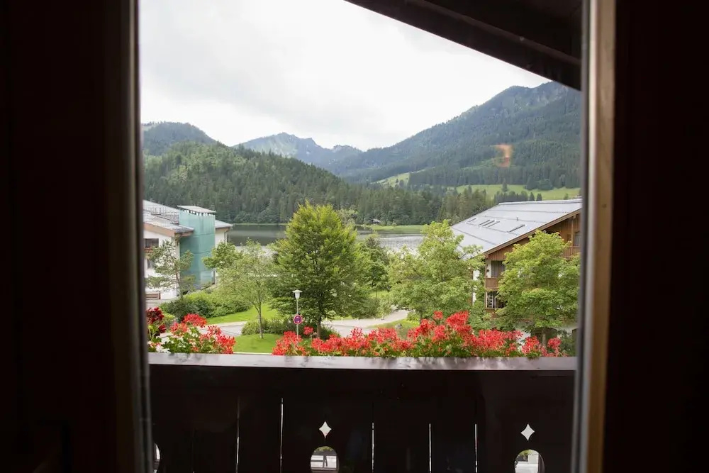 Balcony & Terrace