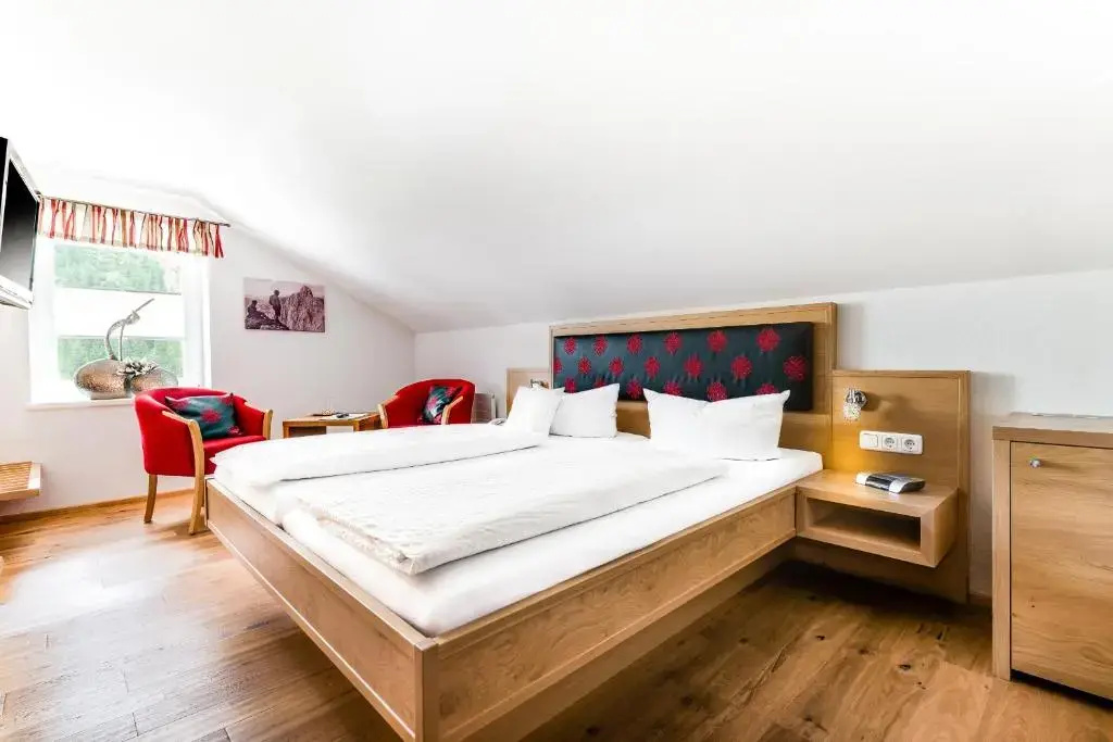 Standard Double room (full double bed)