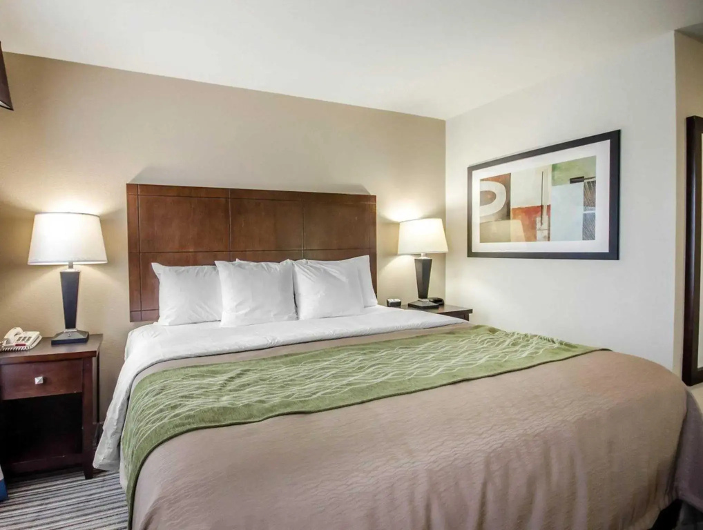 1 Bedroom Standard room
