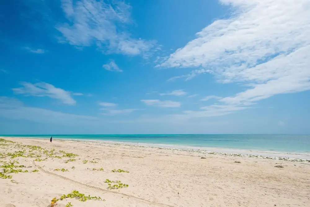 Beach & Waterfront