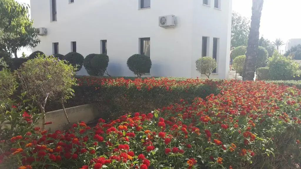 Mazotos Hilltop Apartment-FREE Welcome Package