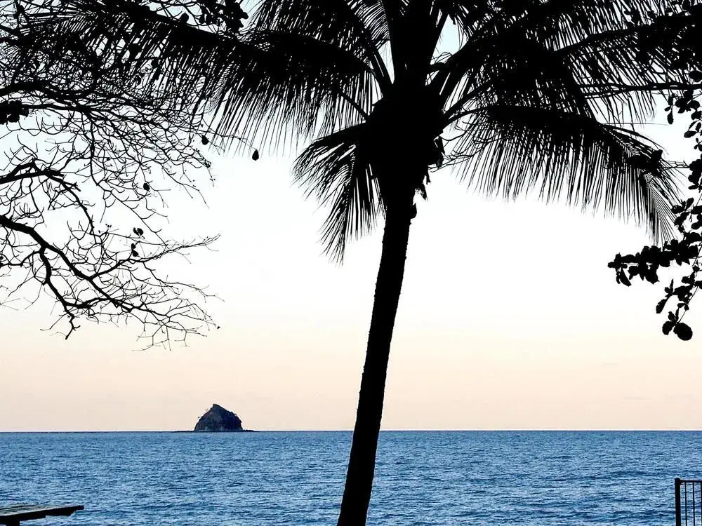 Beach & Waterfront