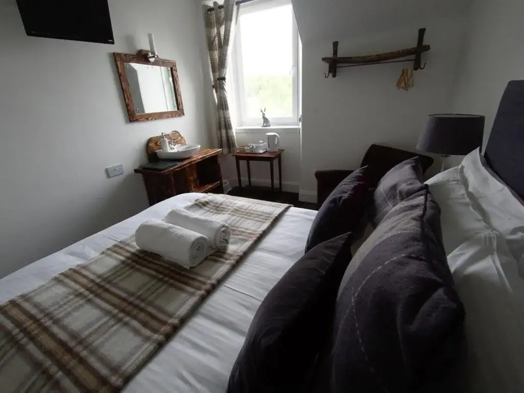 Standard Double room with mountain view (full double bed)