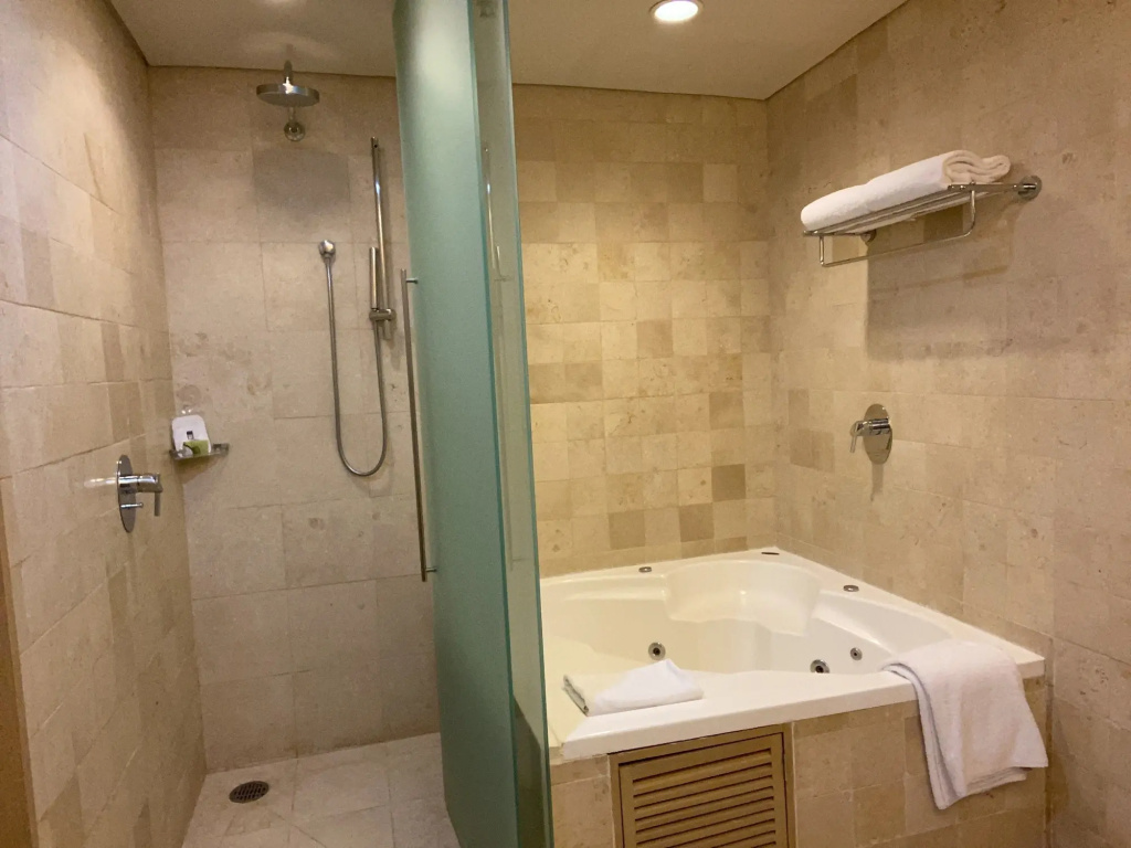 Barceló México Santa Fe - Général