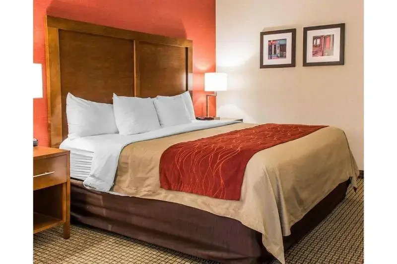Comfort Inn Boston - Chambres