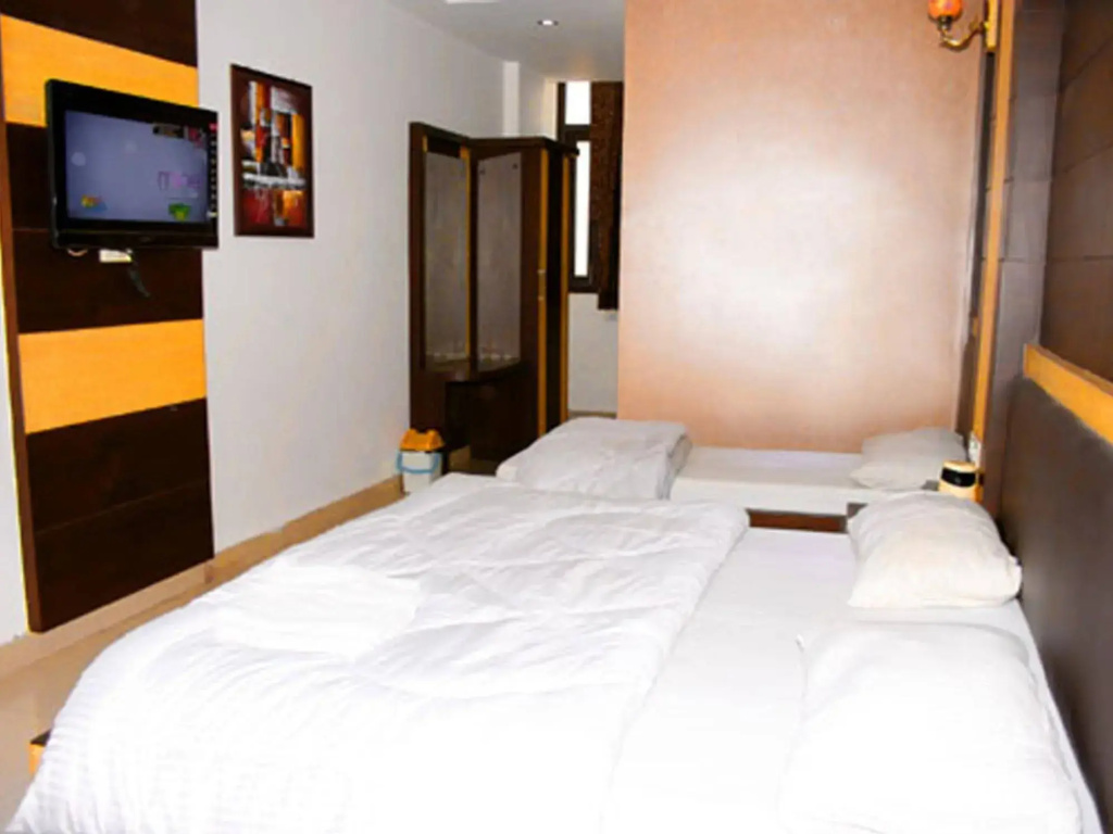 Hotel Delhi heart - Général