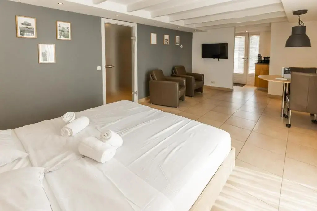 Hotel Hof van Salland - Chambres