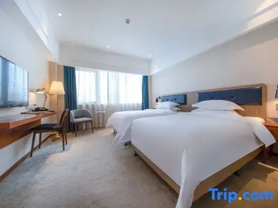 Standard Double room with city view (twin beds)