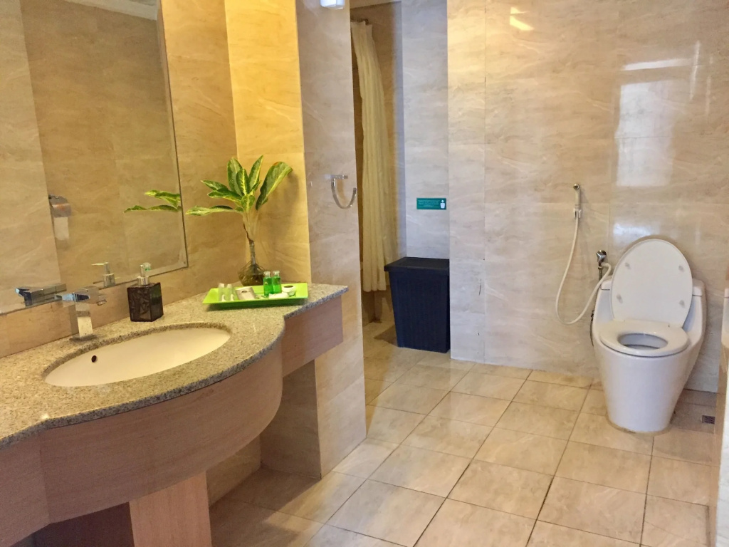 Wiltop Hotel Jambi - Général