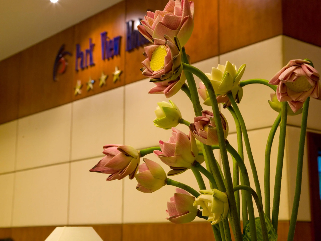 Lobby & Reception