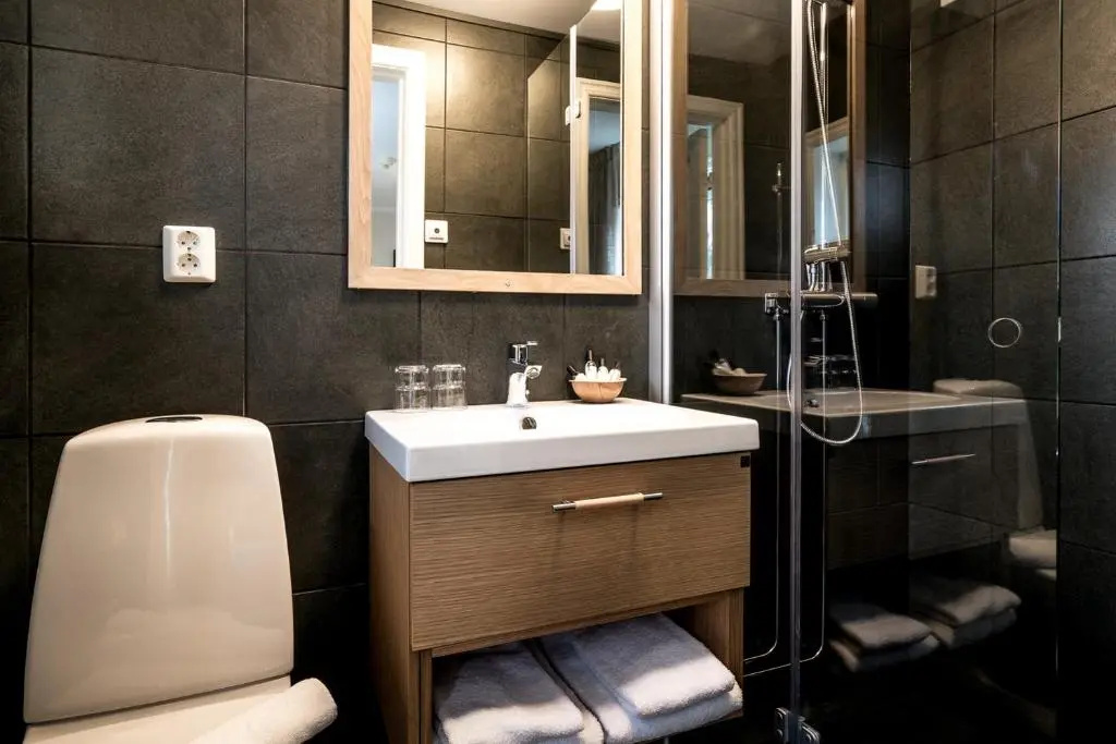 Deluxe Double room (twin beds)