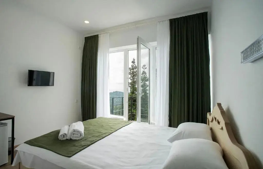 Standard Double room with balcony and with sea view (full double bed)