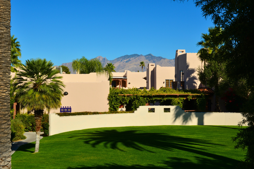 Lodge on the Desert - Général