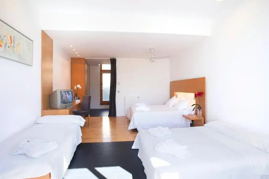 Tierra De Biescas Hotel - Chambres
