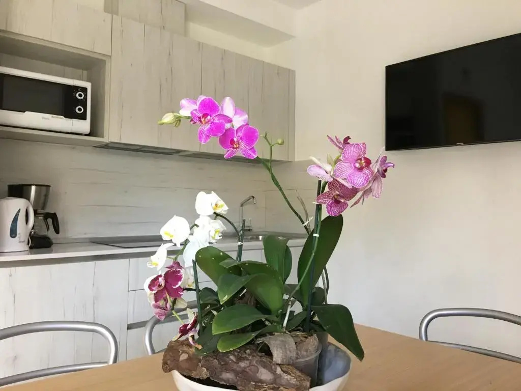 Casa Eva - Chambres