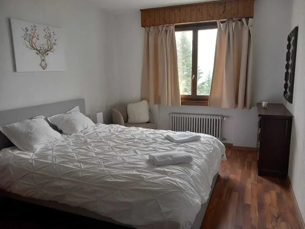 Classic Double room with mountain view (full double bed)
