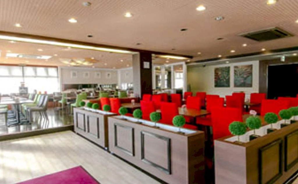 Rembrandt Inn Kazusa - Général