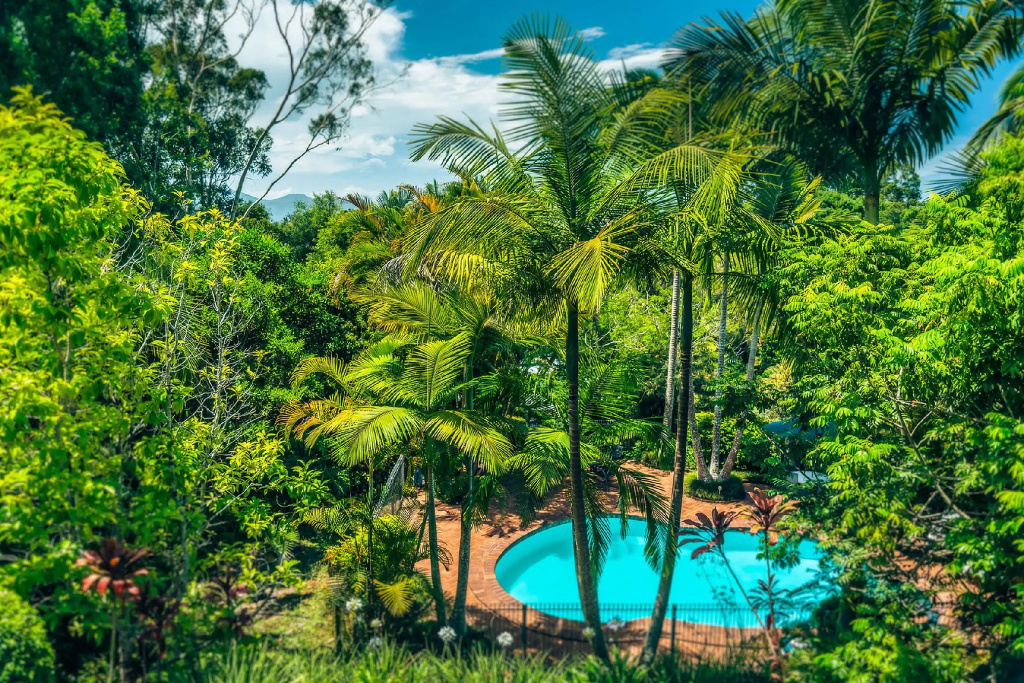 Bella Vista Bellingen - Chambres
