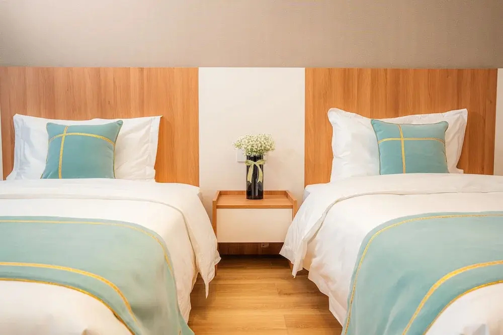 Standard Double room (twin beds)
