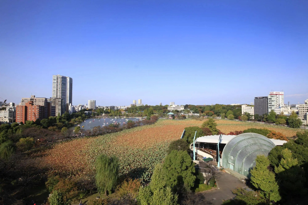 Centurion Ladies Hostel Ueno Park - Caters to Women 사진 20