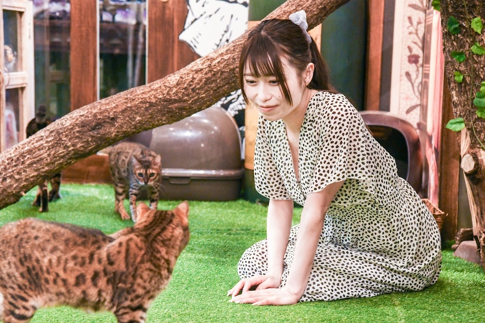 Yufuin Floral Village Hotel 사진 23