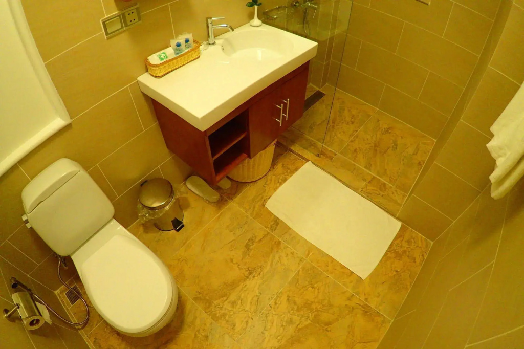 德鲁克思精品酒店及服务式公寓(Deluxx Boutique Hotel and Serviced Apartment) - Général