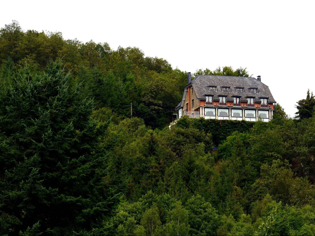Hôtel Le Beau Site - Général
