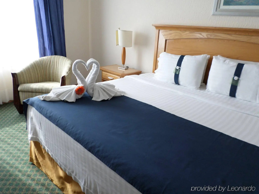 Holiday Inn Queretaro Zona Diamante by IHG - Général