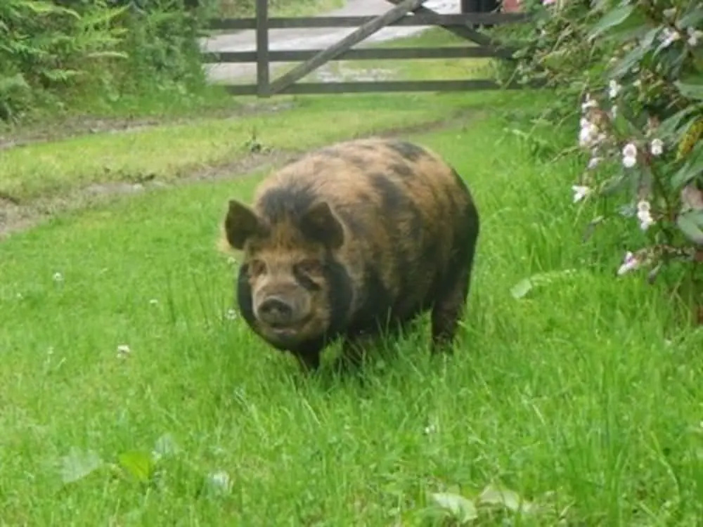 Headgate Farm B&B