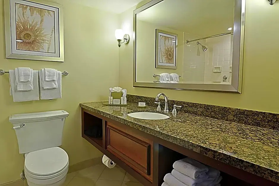 Courtyard by Marriott Bradenton Sarasota Riverfront - Chambres