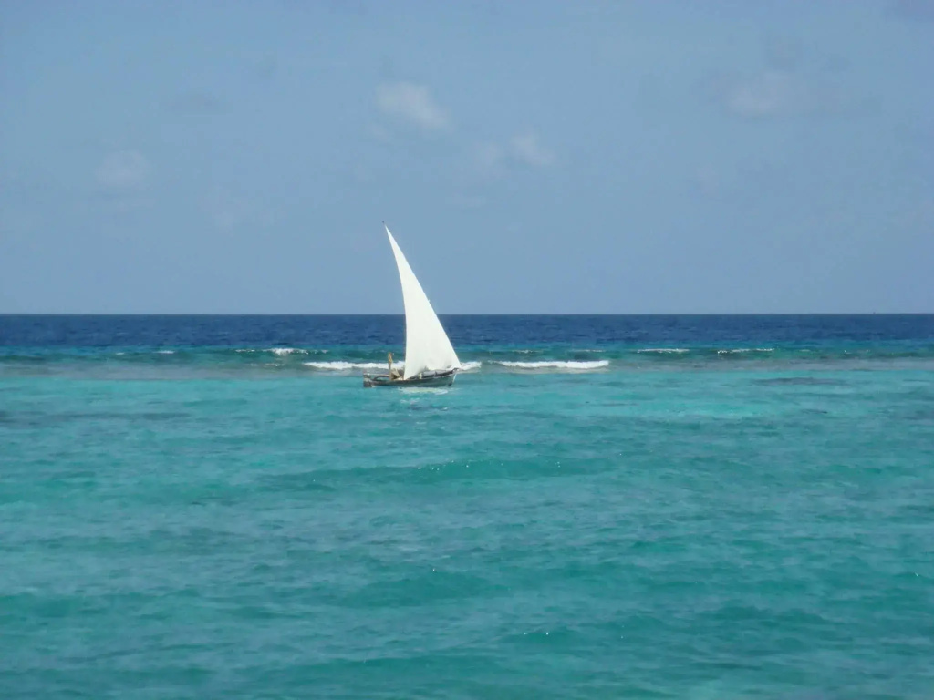 Lvis Boutique Hotel - Général