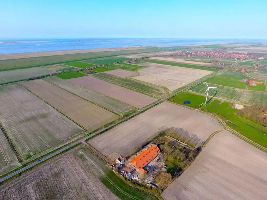 Gulfhof Dreybült Dreybült 1 Levke