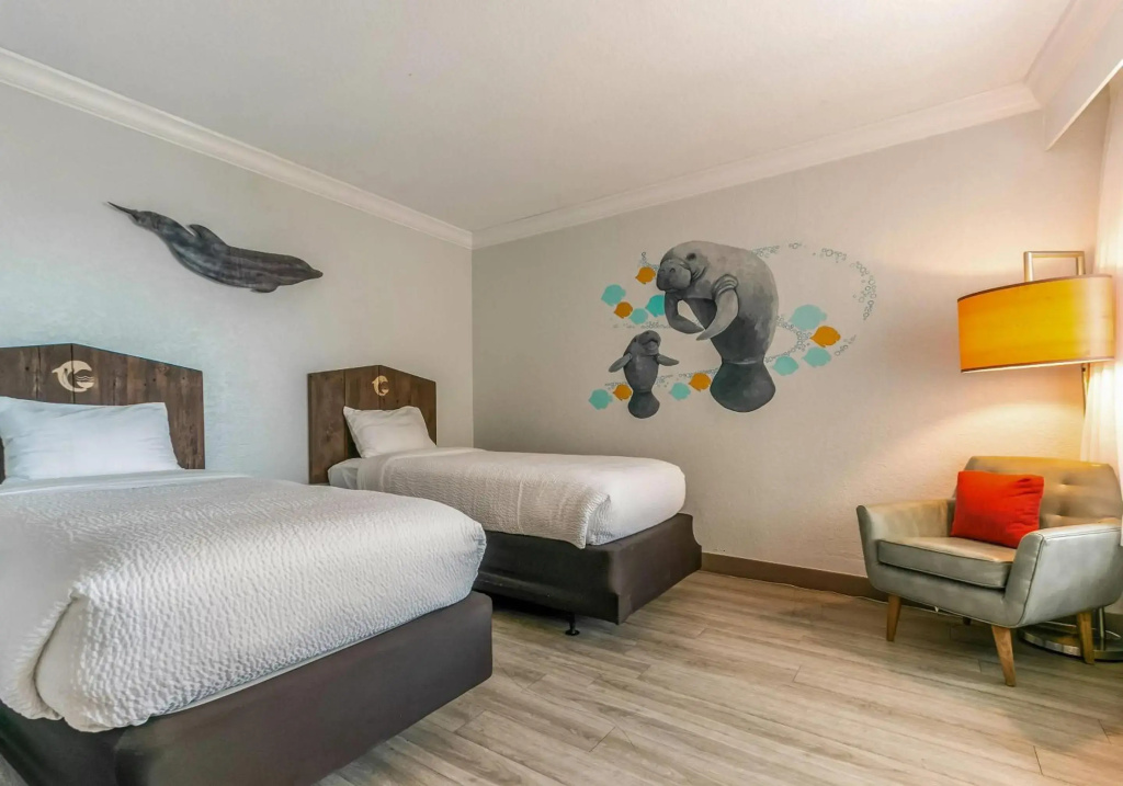 Dolphin Sands Clearwater Beach, an Ascend Collection Hotel - Général