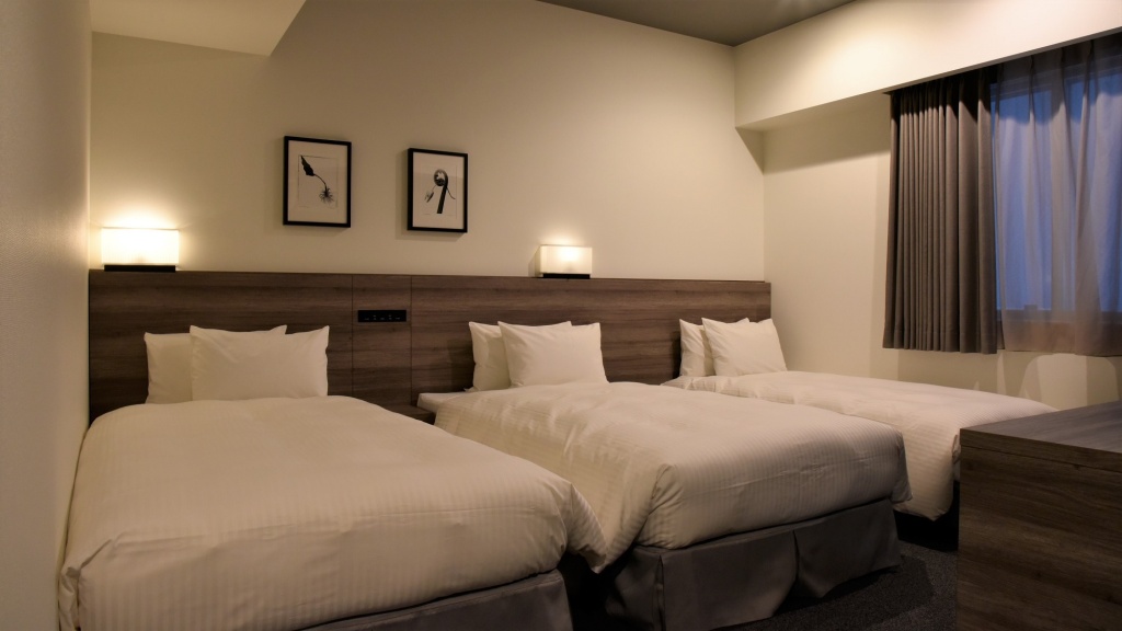 Odysis Sapporo Odori Koen Hotel 사진 8