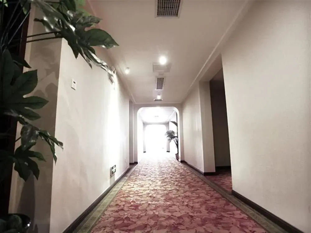 GreenTree Inn Anhui Wuhu Zhongshan Road Pedestrian Street Express Hotel - Général