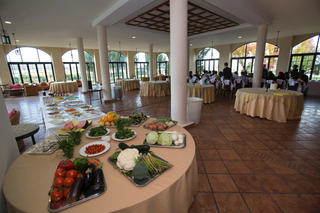 Hotel Sonsoles Ávila - Général