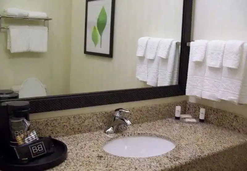 Fairfield Inn & Suites Strasburg Shenandoah Valley - Général