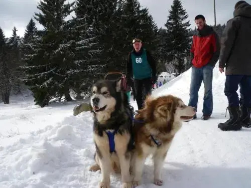 Hotel Restaurant La Croix D'or