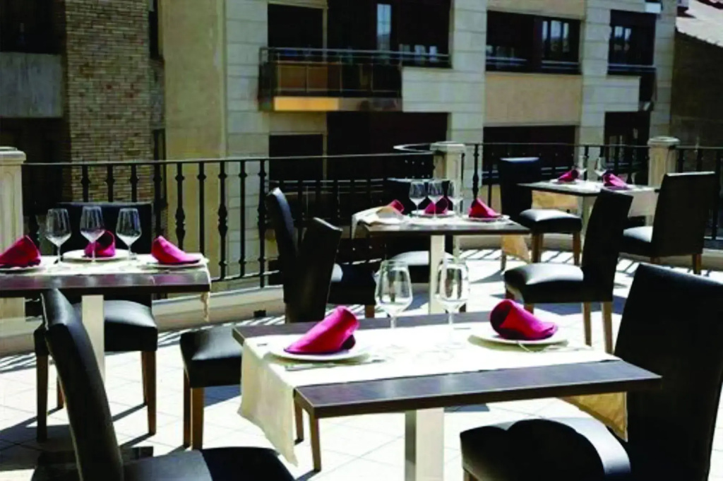 Hotel Villa de Aranda - Général