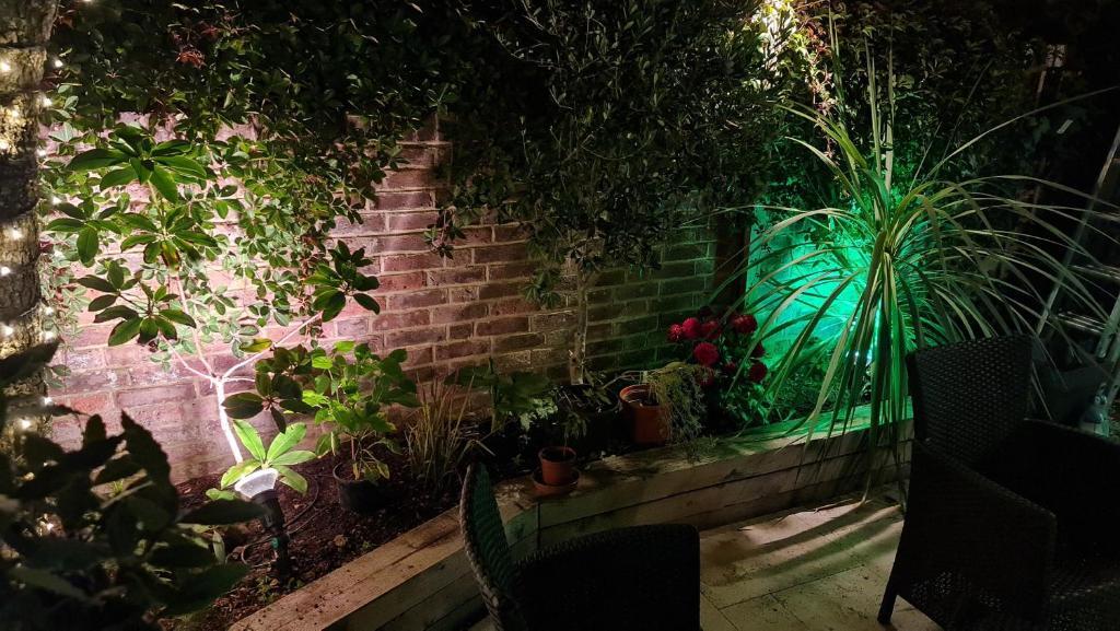 Отель Cottage Grove Homestay rooms, фото 13