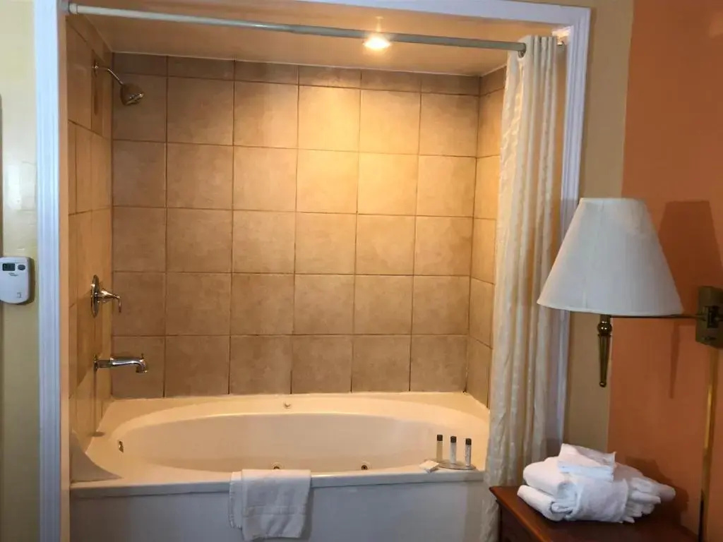 Alpine Inn and Spa - Chambres