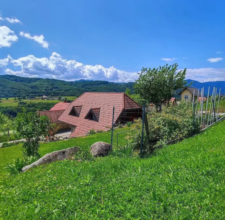Vineyard cottage Kralj