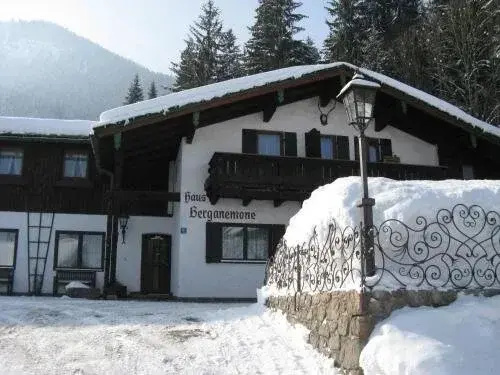 Pension Berganemone