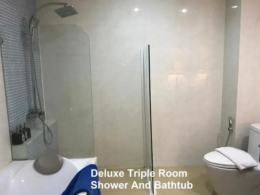 Deluxe Triple room