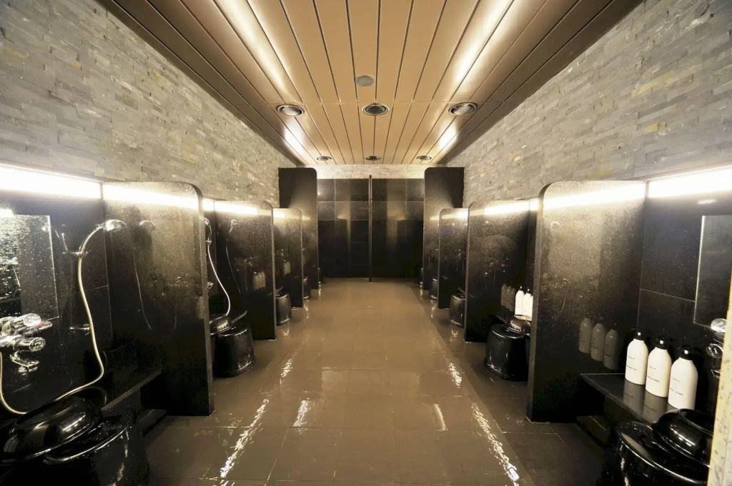Dormy Inn Premium Seoul Garosugil - Général