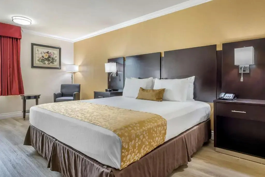 Best Western Plus South Bay Hotel - Chambres