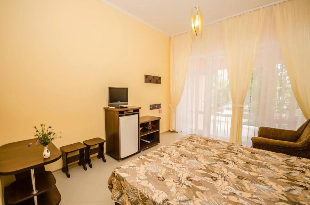 Standard Double room (full double bed)