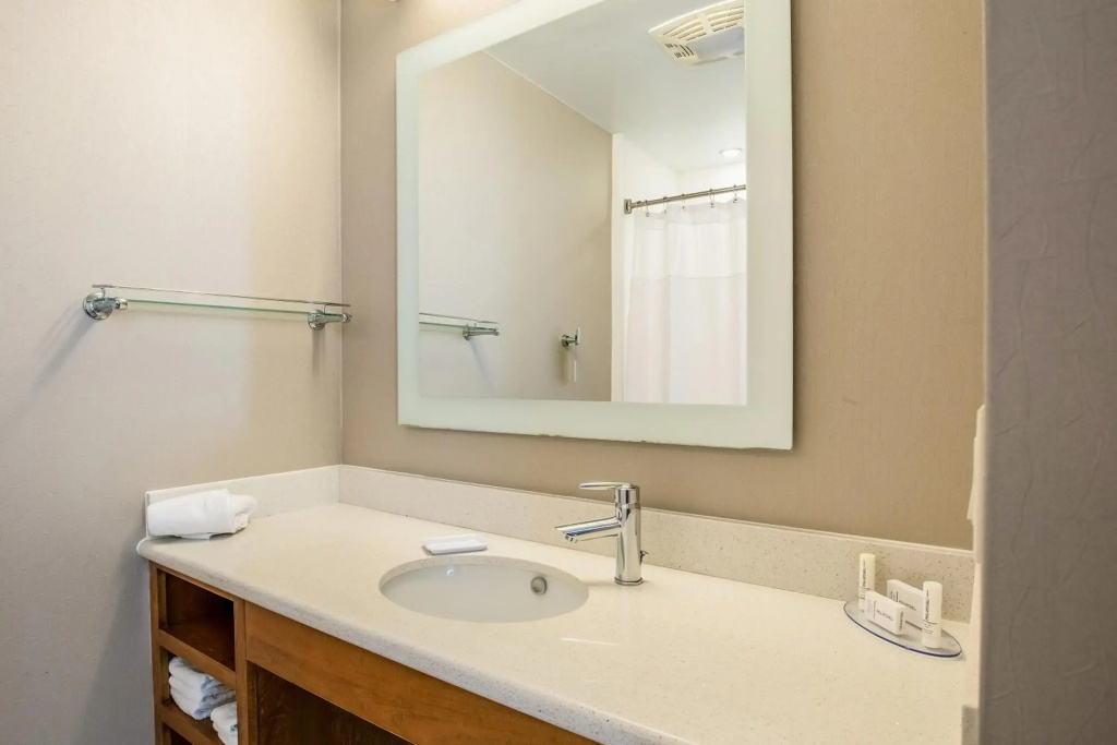 SpringHill Suites Houston Rosenberg - Général