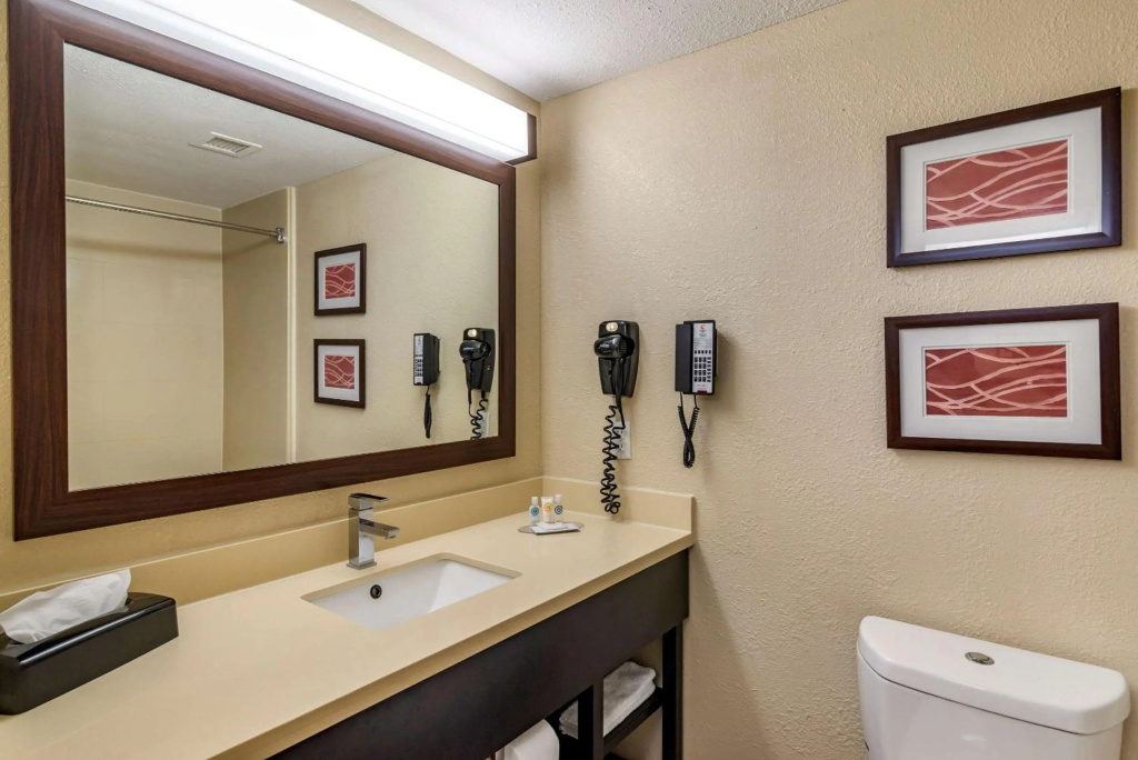 Отель Comfort Inn & Suites в Дугласвилл